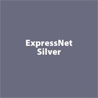 ExpressNet Silver PLA - 1.75mm - 1 kg roll